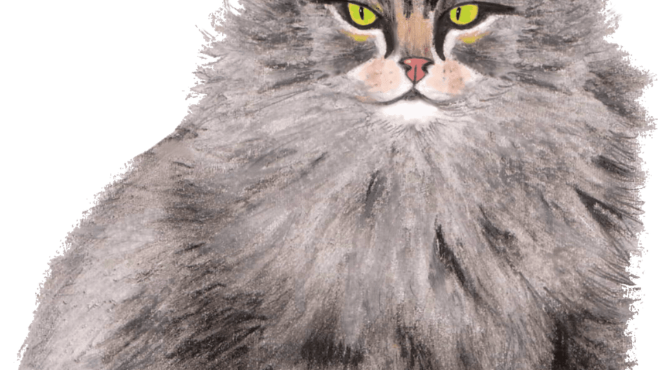 Grey Cat PNG