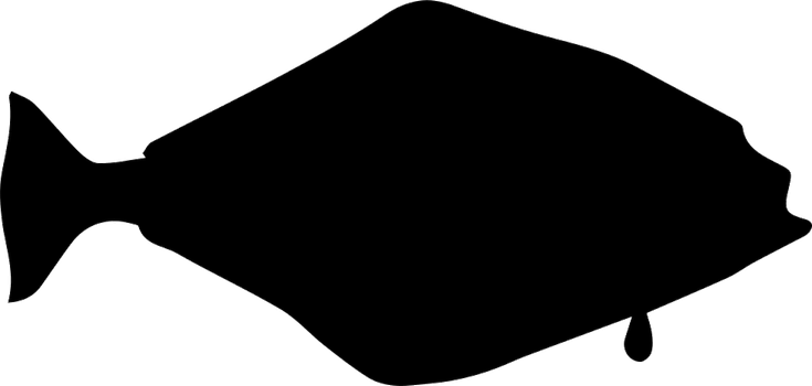 Halibut PNG