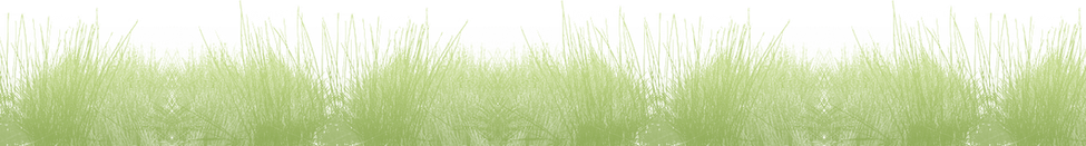 Meadow PNG