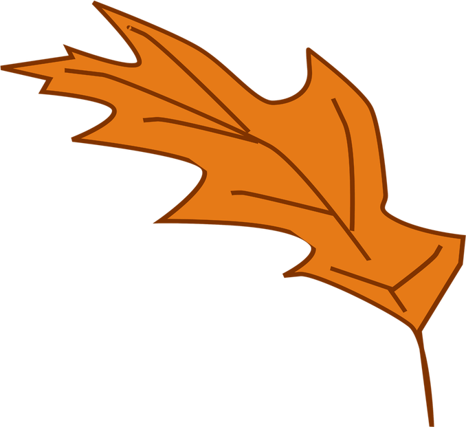 Autumn Leaf PNG