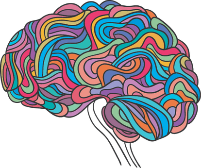 Healthy Brain PNG