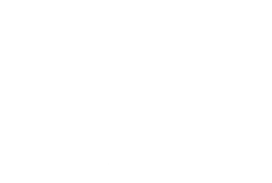 White Eagle PNG