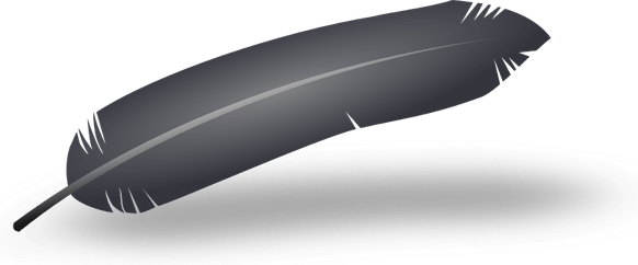 Black Feathers PNG