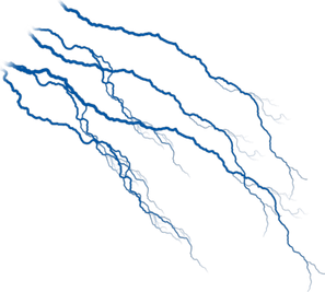 Veins PNG