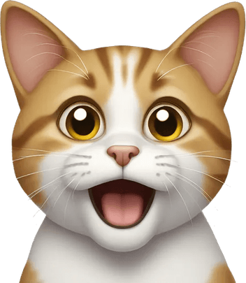 Shocked Cat PNG