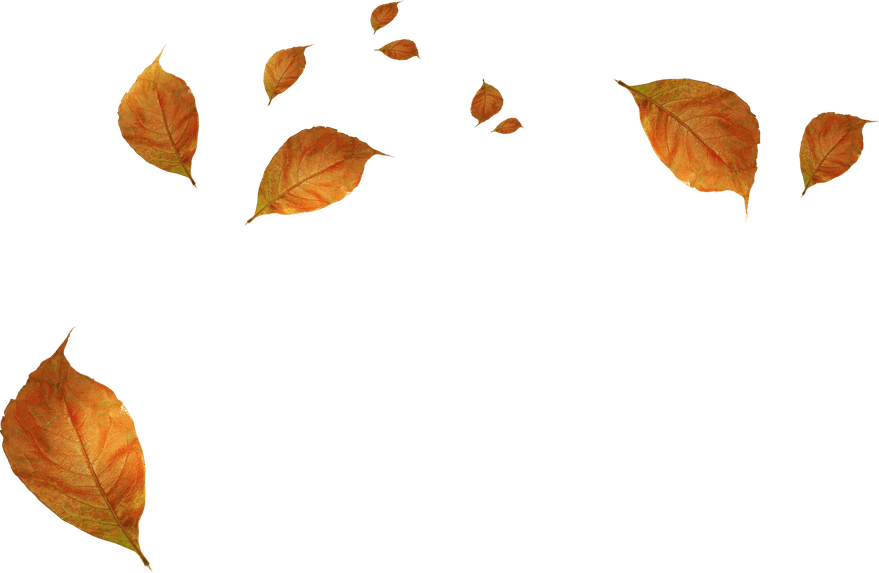 Fall Leaves PNG
