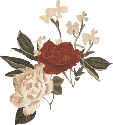 Rose Aesthetic Theme PNG