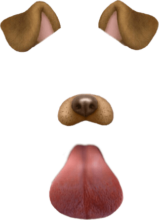 Snapchat Filter Dog PNG