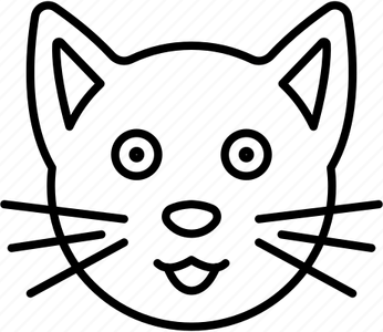 Cat Baby PNG