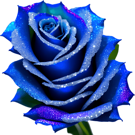 Real Blue Flower PNG