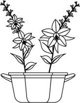 Flower Pot PNG