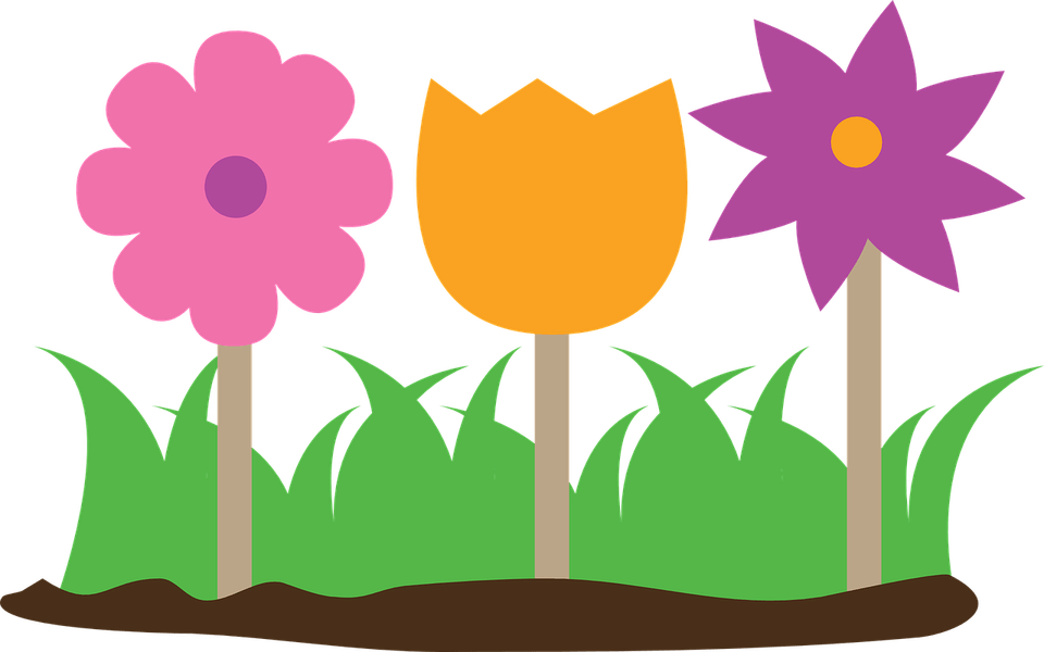 Grass And Flower PNG