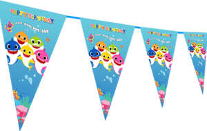 Pennant Banner PNG