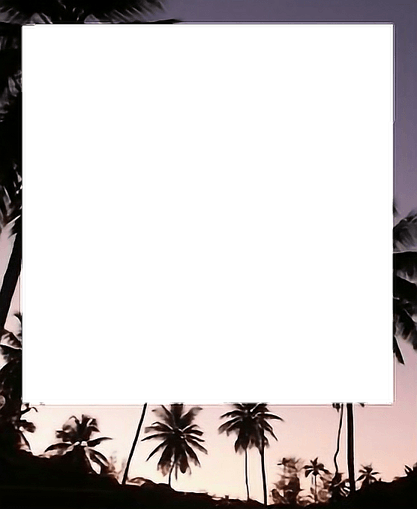 Aesthetic Polaroid Frame PNG