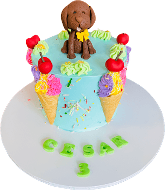 Dog Birthday Cake PNG