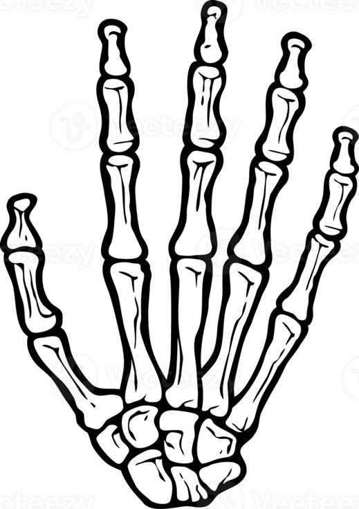 Skeleton Hand PNG