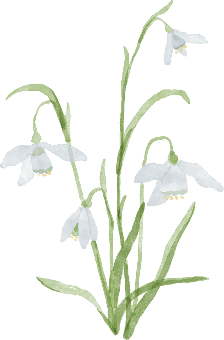 Birth Month Flower PNG
