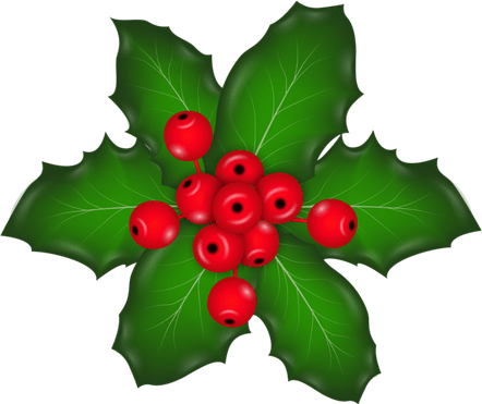 Mistletoe PNG