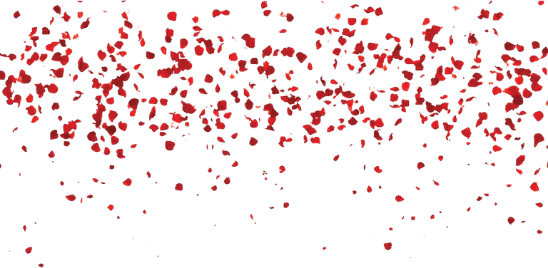 Red Sparkles PNG