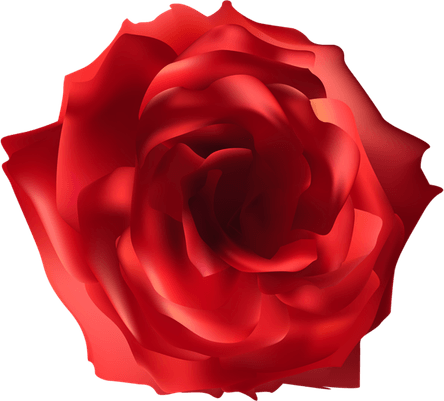 Paper Rose PNG