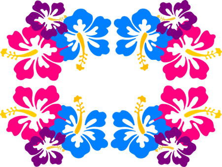 Hawaiian Border PNG