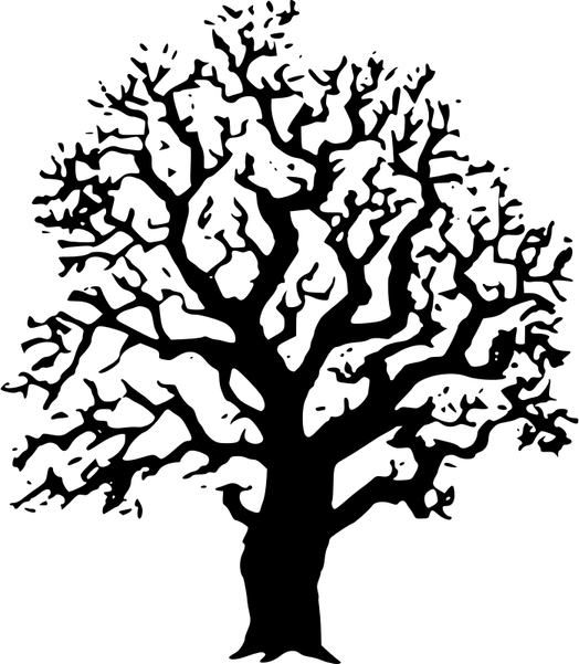 Oak Tree PNG