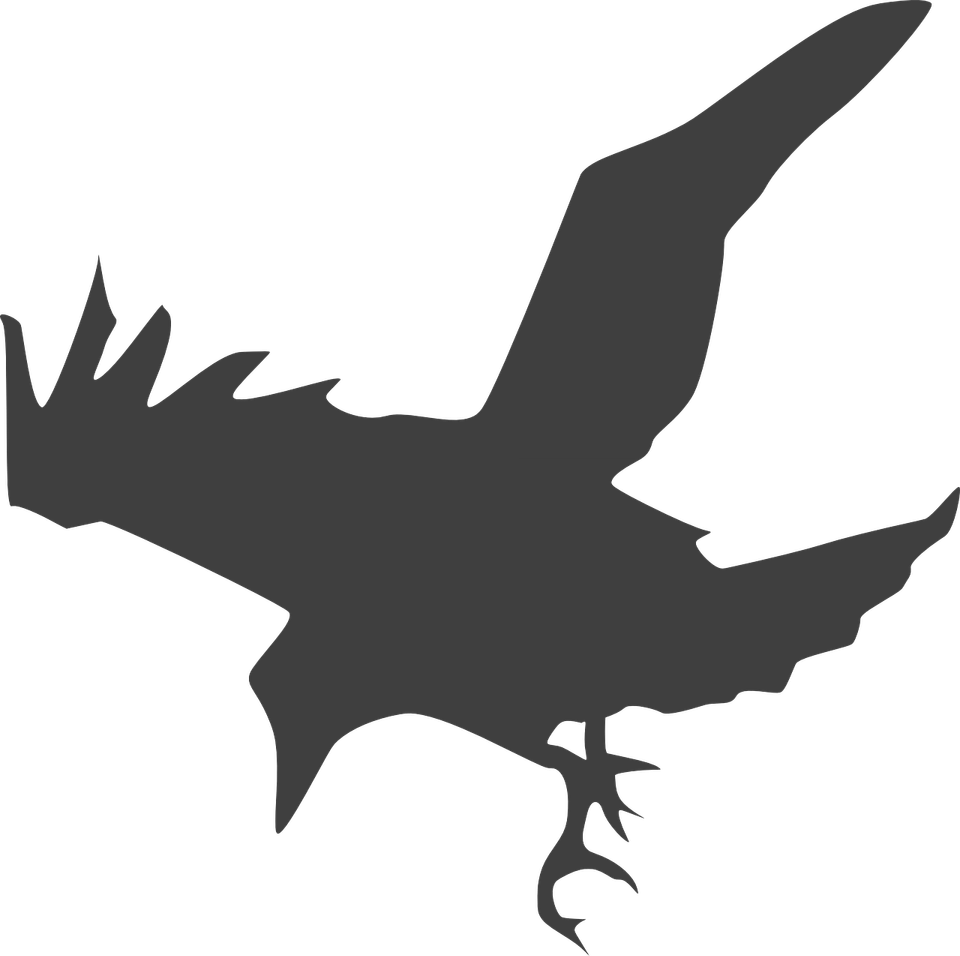 Hooded Crow PNG