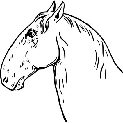 Horse Head PNG