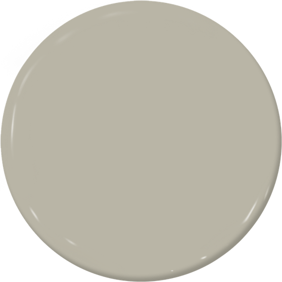 Paint Circle PNG
