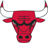 Bulls Logo PNG