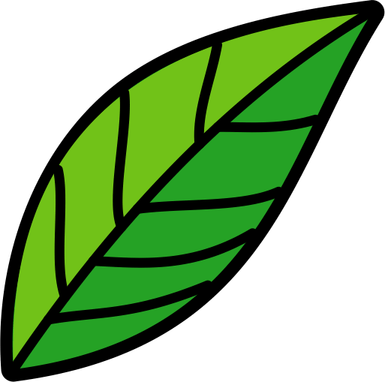 Leaf Icon PNG