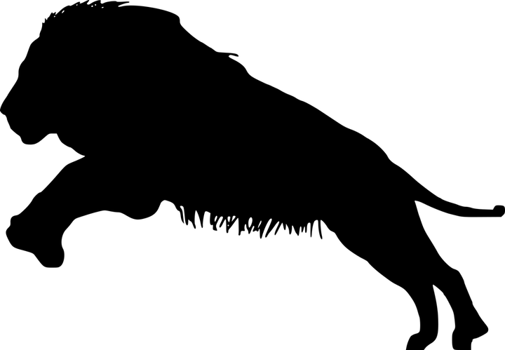 Lion Drawing PNG