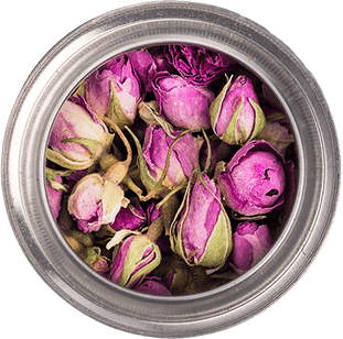 Persian Rose PNG
