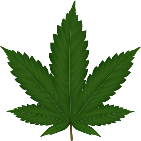 Cartoon Weed Leaf PNG