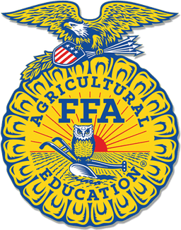 Ffa Emblem PNG