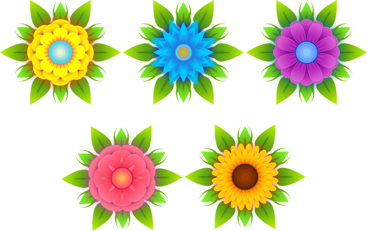 Flowers Vectors PNG