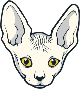 Bald Cat PNG