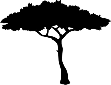 Safari Tree PNG