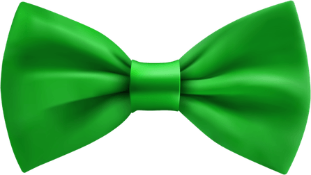 Green Coquette Bow PNG
