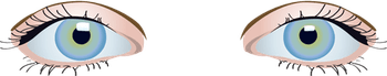 Female Eyes PNG