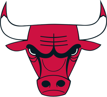 Bulls Logo PNG