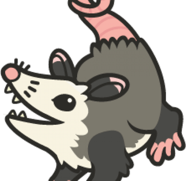 Opossum PNG