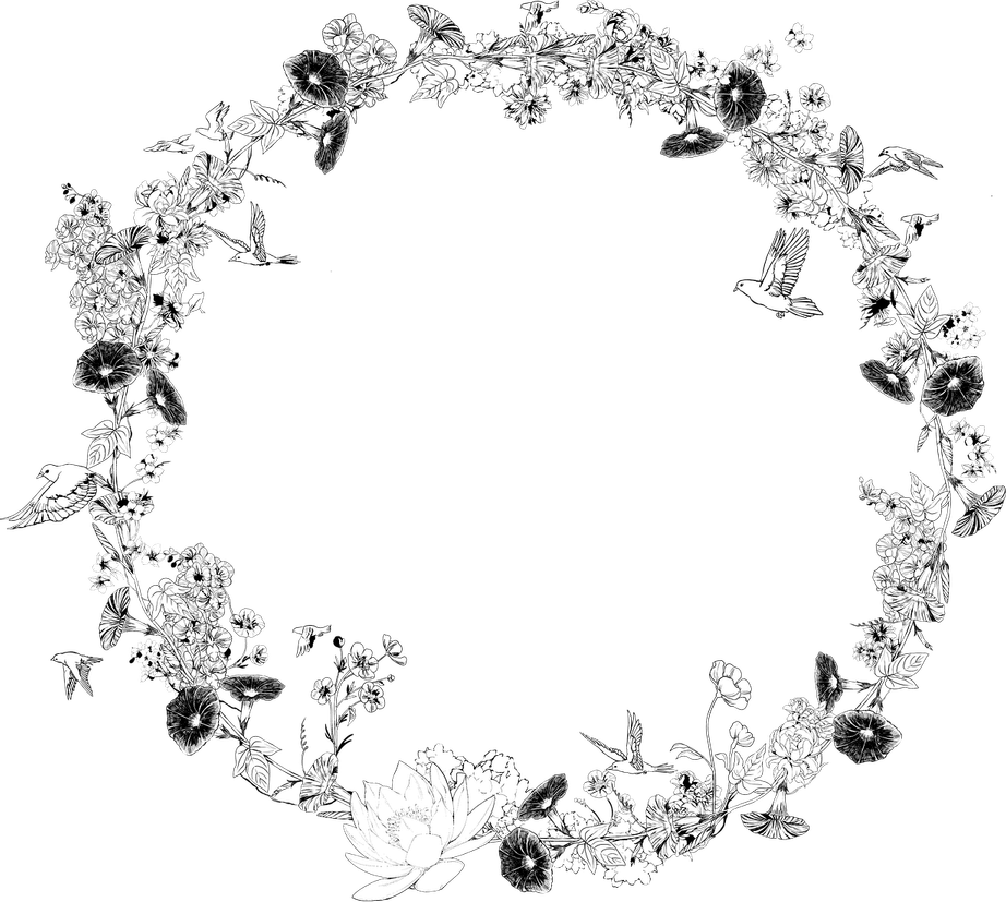Black And White Flower PNG