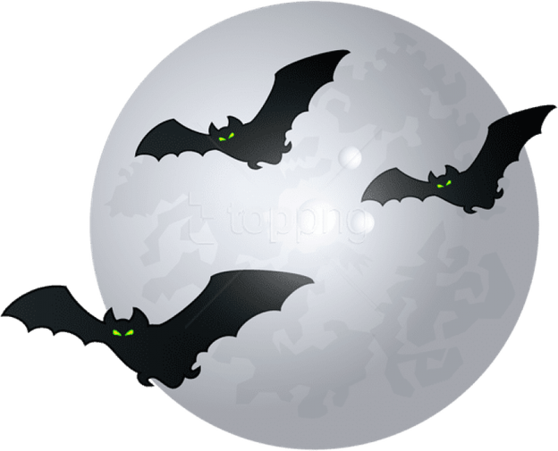 Halloween Bat PNG