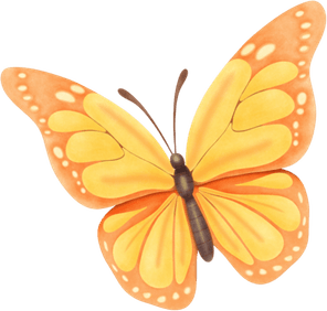 Butterfly Bw PNG