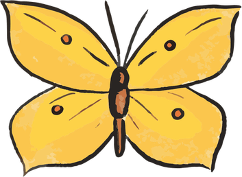 Butterfly Animation PNG