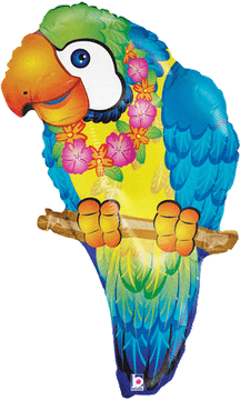 Poisonous Bird PNG