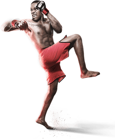 Mixed Martial Artist PNG