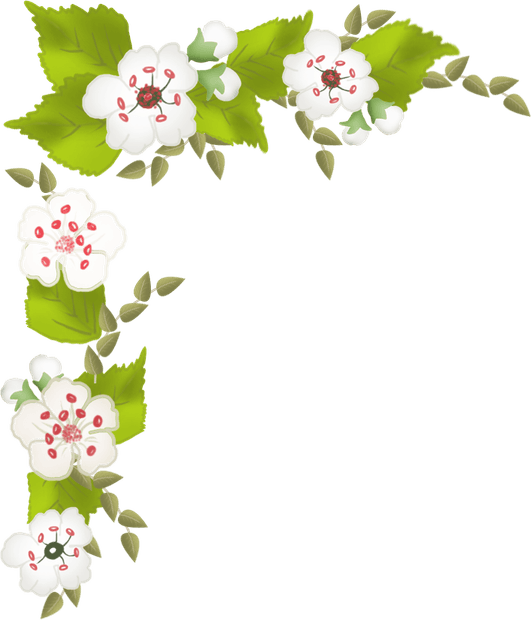 Corner Flower Border PNG