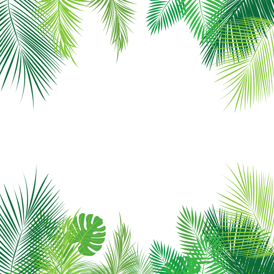 Border Leaves PNG